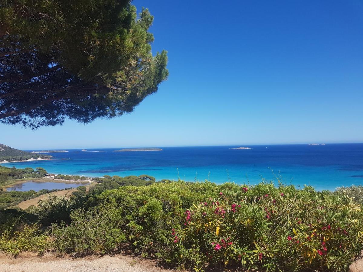 Maison sur Palombaggia Porto-Vecchio  Bagian luar foto
