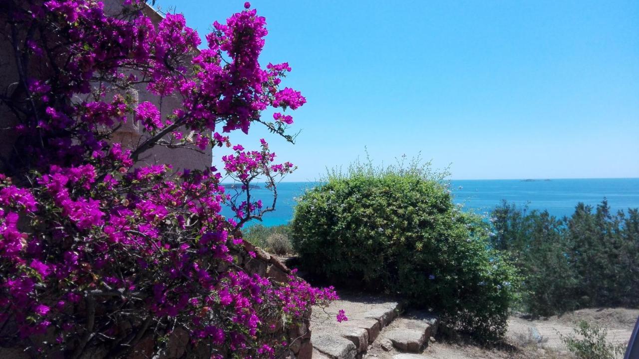 Maison sur Palombaggia Porto-Vecchio  Bagian luar foto
